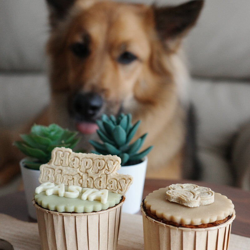 Birthday Cupcakes 5
