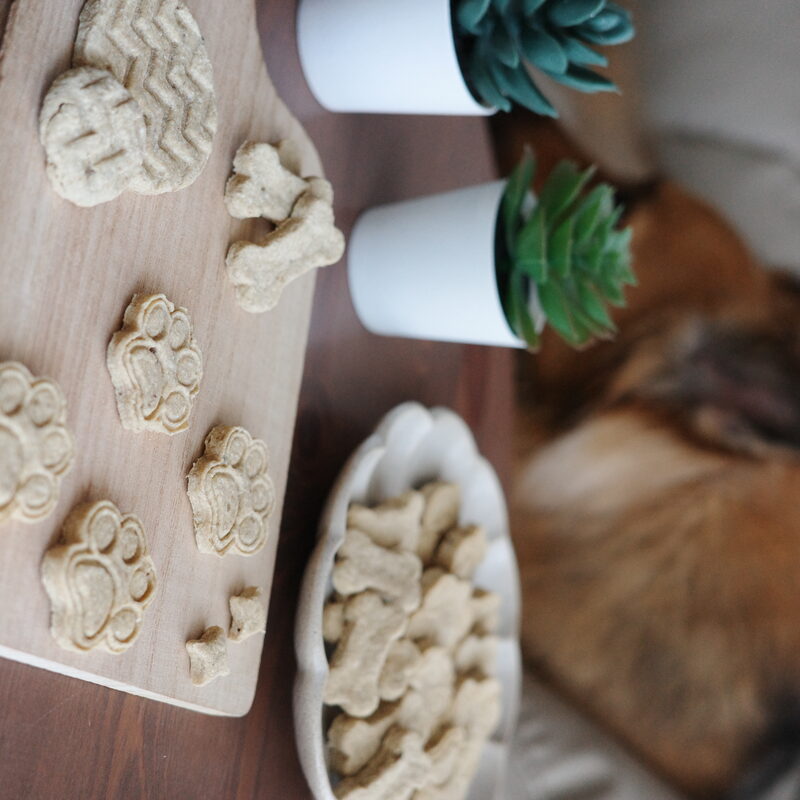 Chicken Cookies Paws and Boons